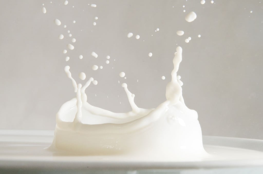 Die großen Lebensmittelhändler wollen Milch mit vier verschiedenen Tierwohl-Stufen kennzeichnen.