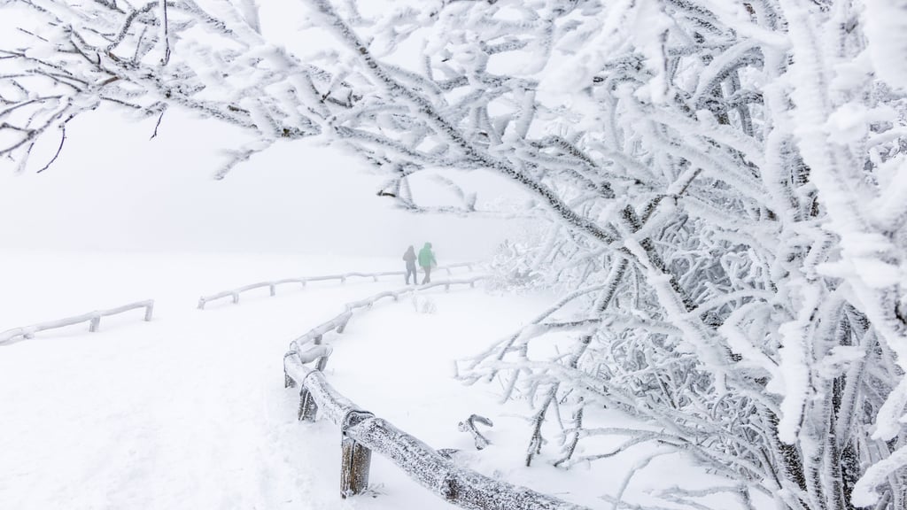 Der Deutsche Wetterdienst hat für die Nacht zu Samstag vor starken Schneefällen im Erzgebirge und dem Vogtland gewarnt.