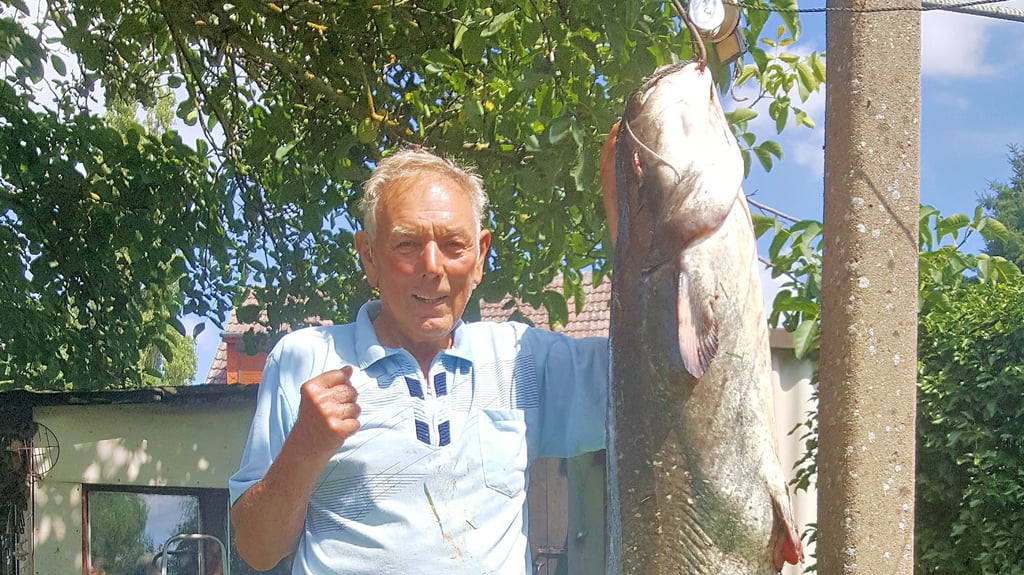 Sein bisher spektakulärster Fang ging Manfred Klink im Vorjahr auf der Havel bei Jederitz an den Haken: ein Wels von 178 Zentimeter Länge und einem Gewicht von 26 Kilogramm.