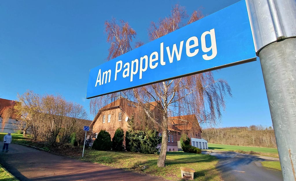 Oberhalb des Pappelweges in Frose soll das Wohngebiet erweitert werden. Gerade werden die Voraussetzungen geschaffen.