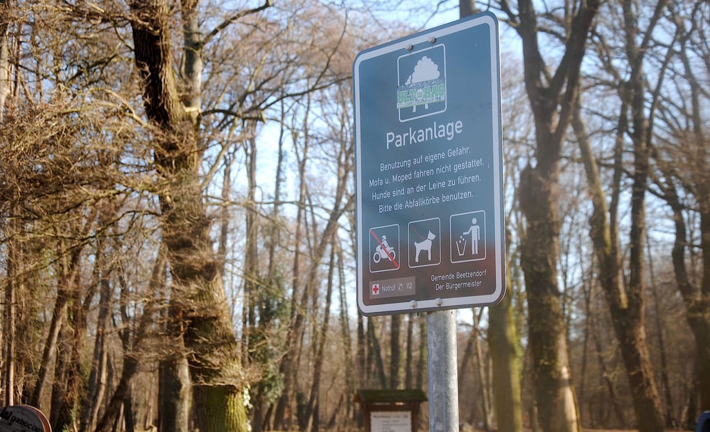 Der Beetzendorfer Park soll mit dem neuen Konzept wieder in seinen ursprünglichen Zustand versetzt werden.