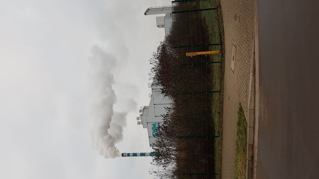 Aufnahme aus diesem Januar: Eine Rauchwolke steigt aus dem Heizkraftwerk der SWM in Magdeburg-Brückfeld.