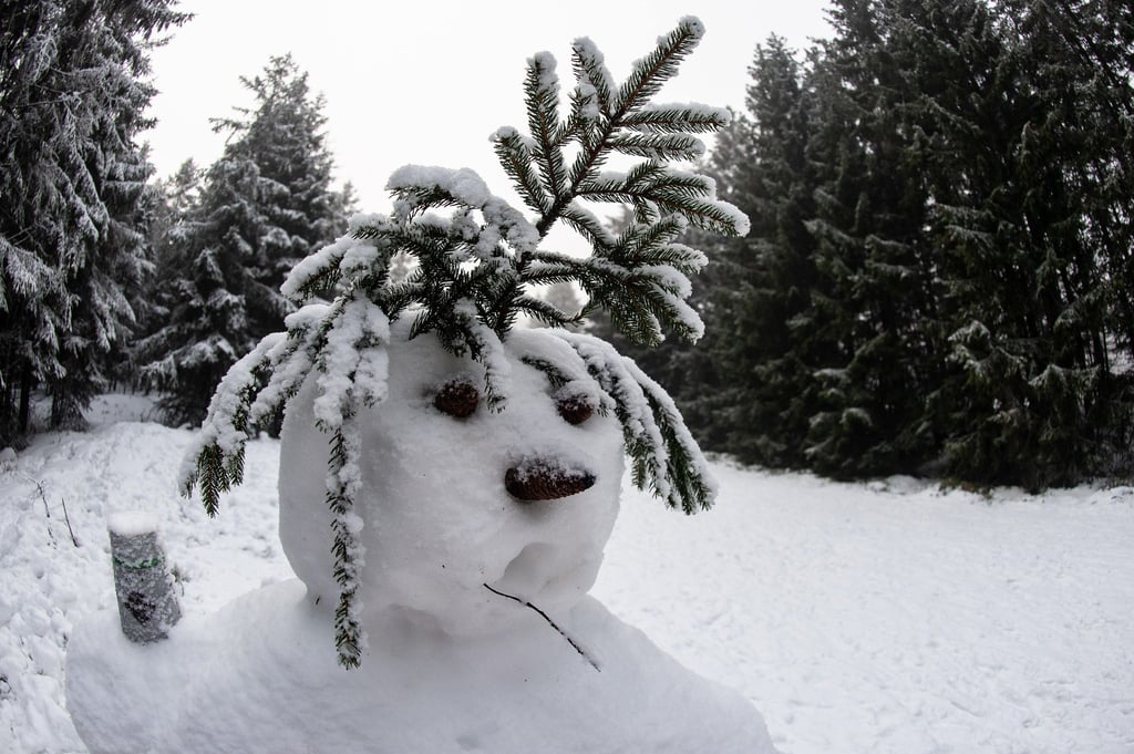 Ein Schneemann steht an einer Rodelpiste am Sonnenberg im Harz.