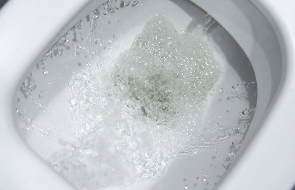 Die Toilette ist kein Abfalleimer - Essensreste gehören in die Tonne.