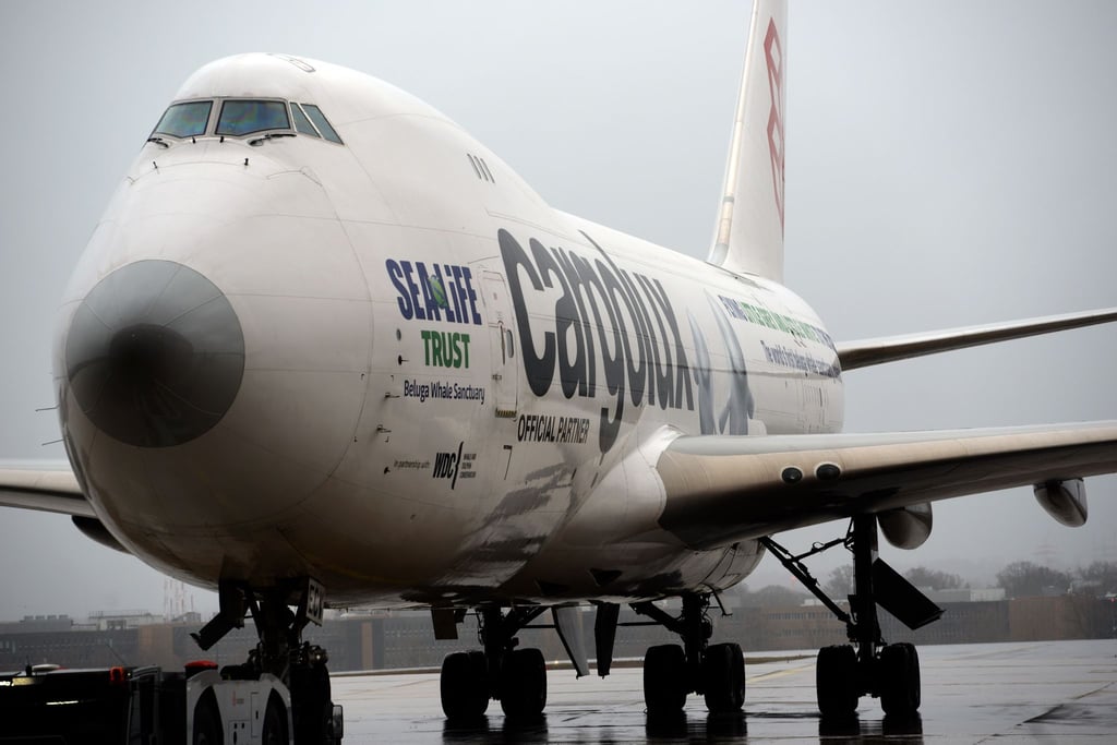 Der blinde Passagier versteckte sich im vorderen Fahrwerksbereich des Frachtflugzeuges.