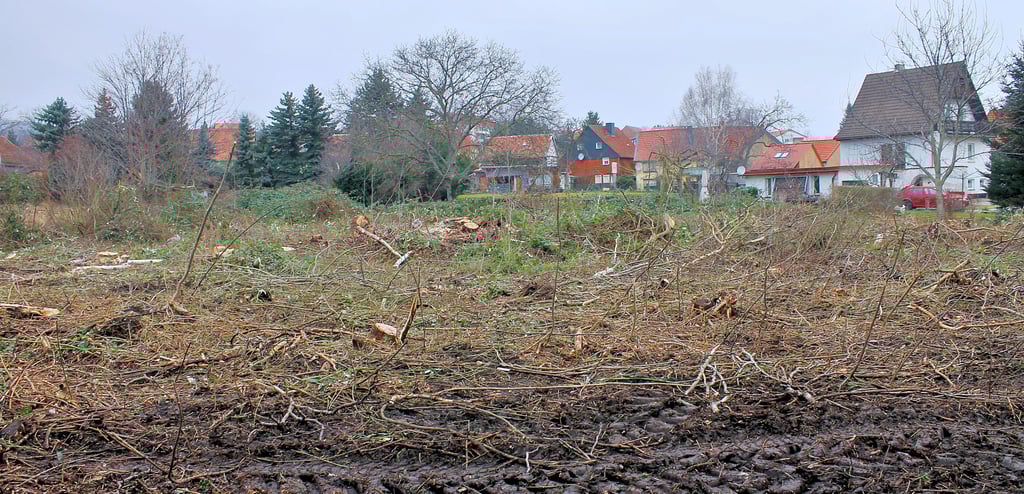 Seit Montag, 24. Januar, wird die Fläche des neuen Kindergartens in Ilsenburg vom Wildwuchs beräumt. „Richtiger“ Baubeginn soll im späten Frühjahr sein.