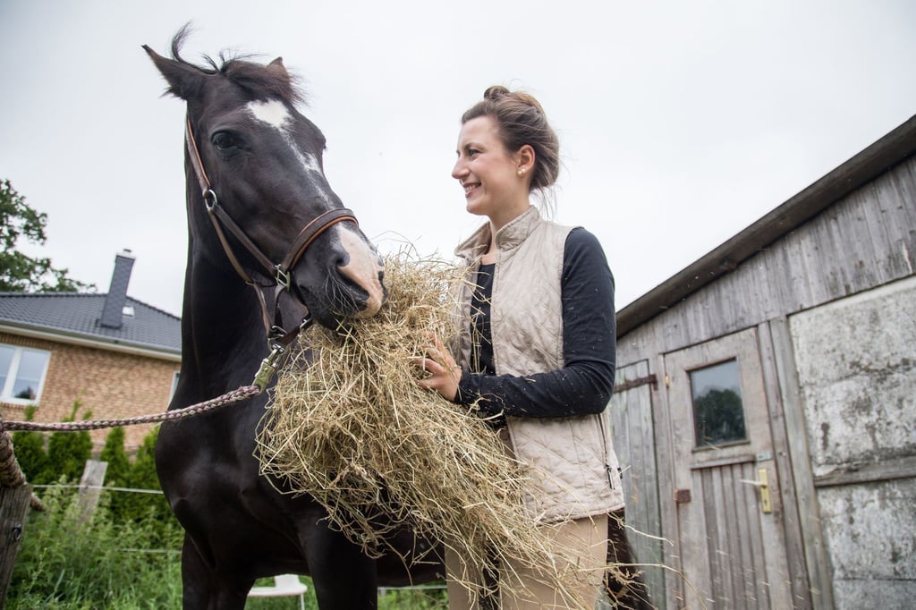 Ein 600-Kilo-Sportpferd benötigt zwischen 9 bis 12 Kilo Heu am Tag. Es sollte dabei allerdings qualitativ hochwertig sein.