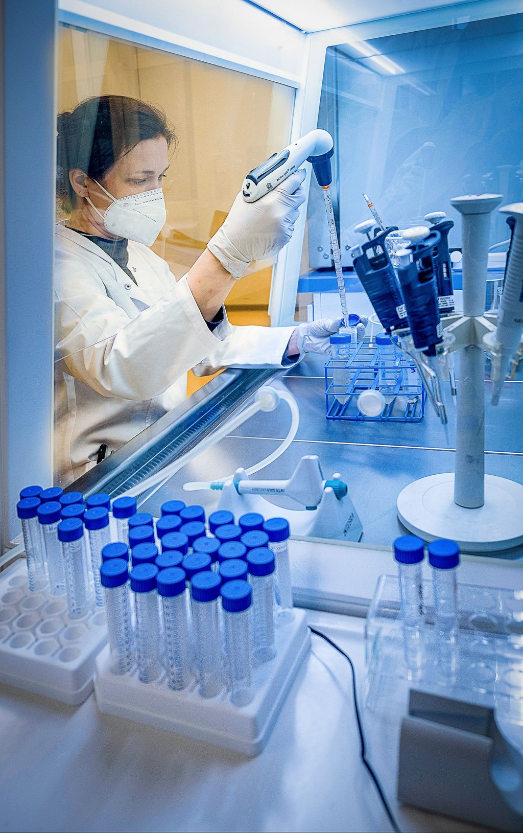 Biochemikerin Swetlana Rot bereitet im Genetik-Labor in Halle Abwasserproben für eine Corona-Untersuchung vor.