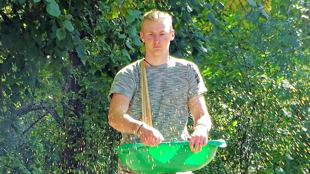 Jasper Herbst bringt Samen auf eine FlederSchmauswiese auf der Havelberger Spülinsel auf.