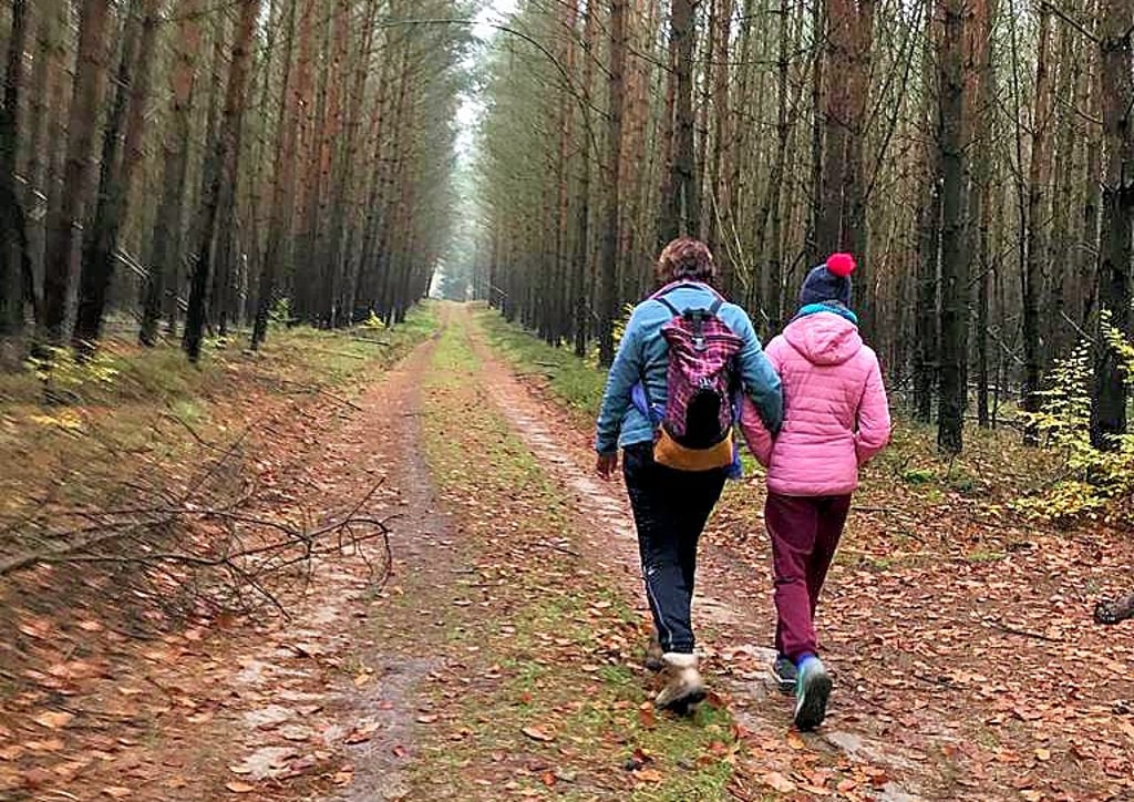 Das Wandern durch den Wald entspannt und trägt zur Entschleunigung bei.