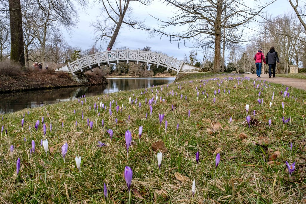 Der Frühling erwacht in Wörlitz - 2022 erneut ohne Frühlingserwachen.