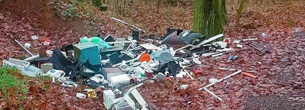 Dieser Elektroschrott wurde im Wald bei Wetterzeube abgekippt.