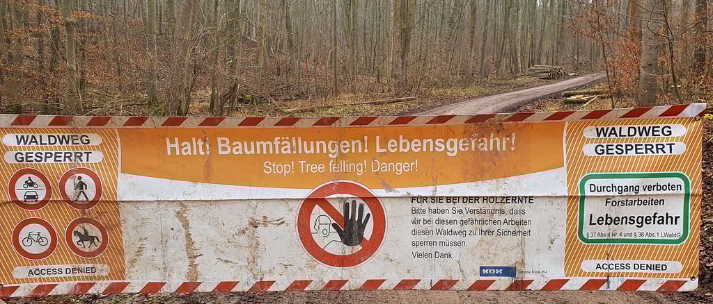 Banner wie dieses warnen vor dem Betreten der Waldwege, da aktuell wieder Forstarbeiten durchgeführt werden.