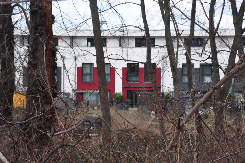Blick über die Fläche an der Ackerstraße in Magdeburg, die neben bereits vorhandenen Reihenhäusern bebaut werden soll.