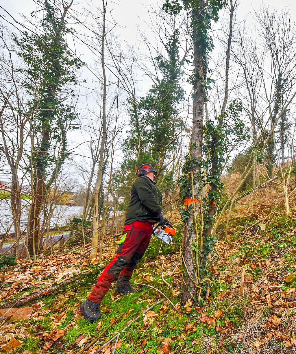 Seit Freitag läuft die Sanierung des Saalehangs in Bad Dürrenberg.
