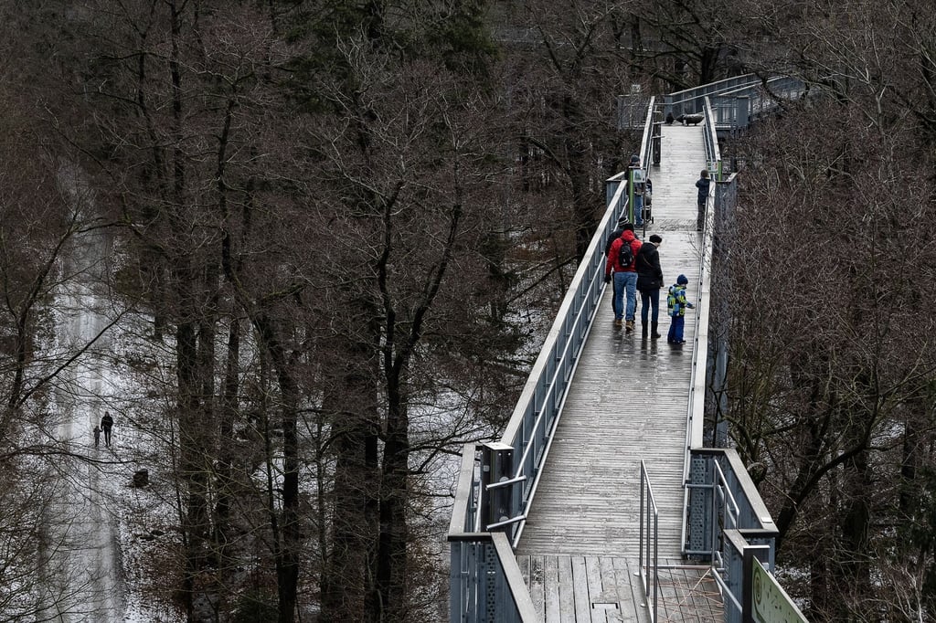 Besucher gehen über einen Pfad im Nationalpark Harz.
