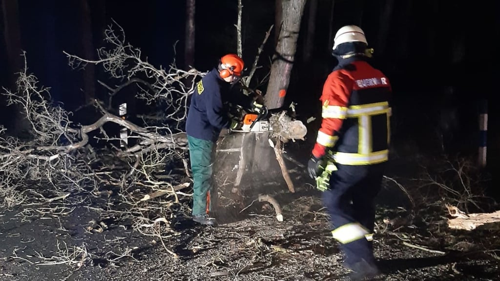 Die Genthiner Feuerwehrleute waren am späten Sonnabend im Einsatz, um Sturmschäden zu beseitigen.