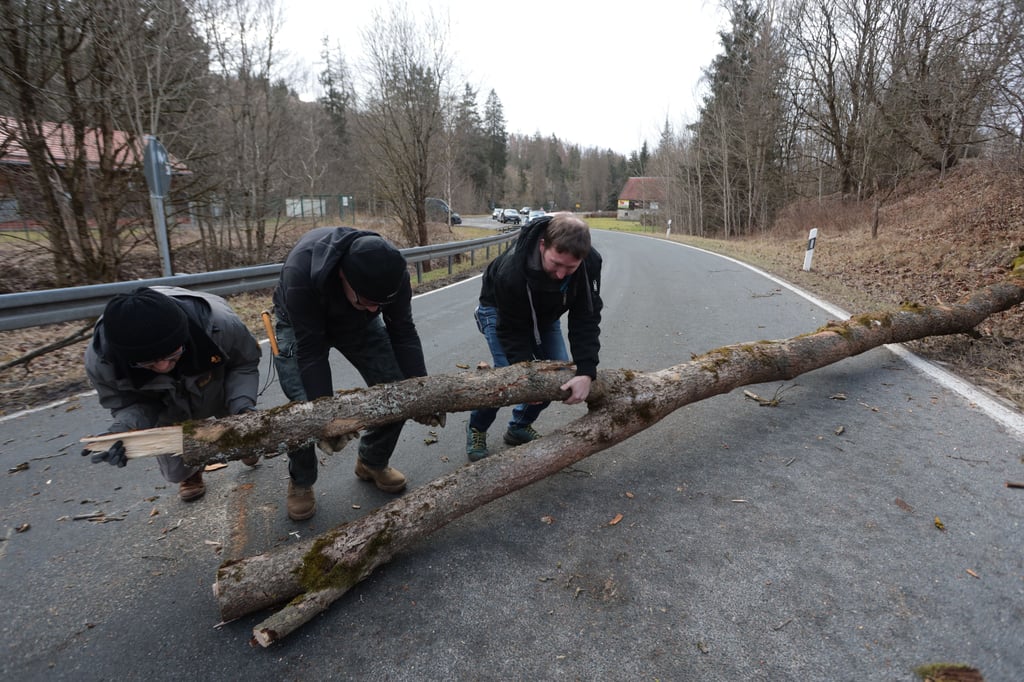 Bei heftigen Windböen während des Sturmtiefs "Nadia" sind mehrere Bäume im Harz umgefallen.