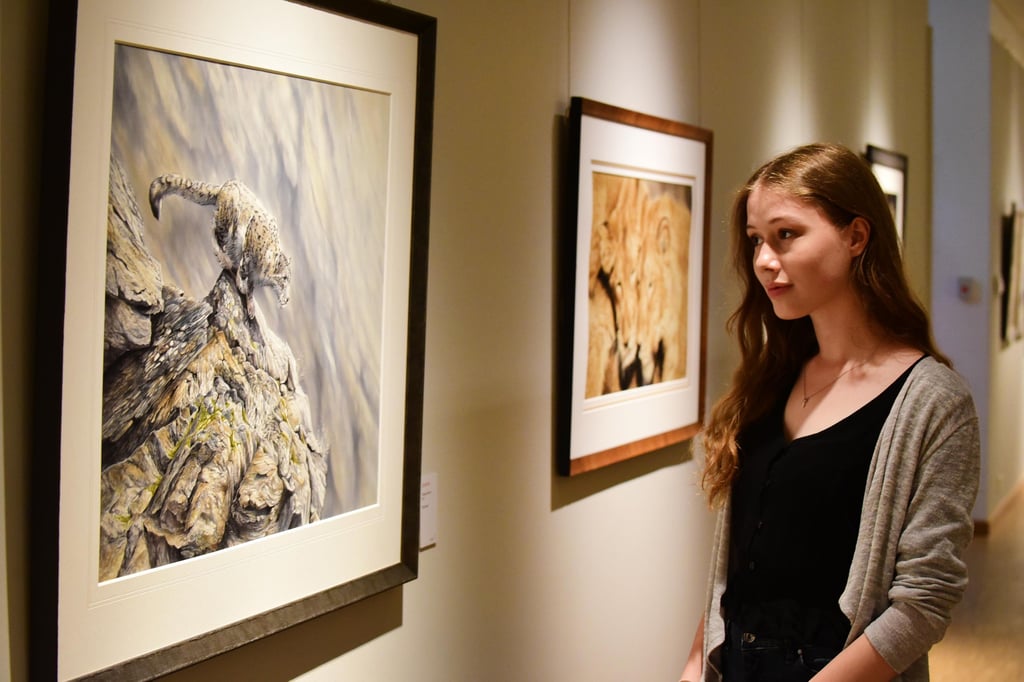An jedem ersten Sonntag soll im Kulturhistorischen Museum und im Dommuseum der Eintritt kostenlos sein. Ein solches einjähriges Pilotprojekt schlagen die Ratsfraktionen vor.
