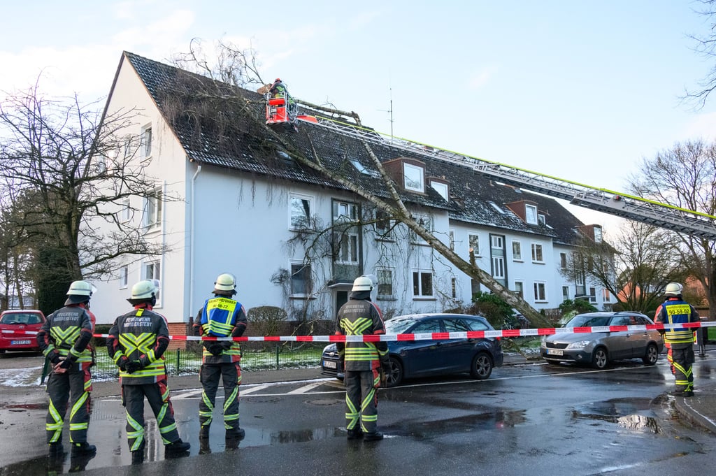 Mehrmals mussten die Feuerwehren im Alkreis Köthen wegen umgestürzter Bäume ausrücken.