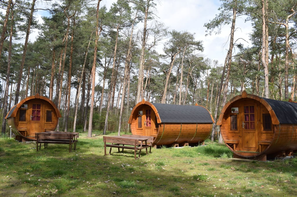 Die Schlaffässer erfreuen sich auf dem Campingplatz einer großen Beliebtheit. Könnte die Sommersaison wie geplant stattfinden, wären die Übernachtungsmöglichkeiten fast schon ausgebucht.
