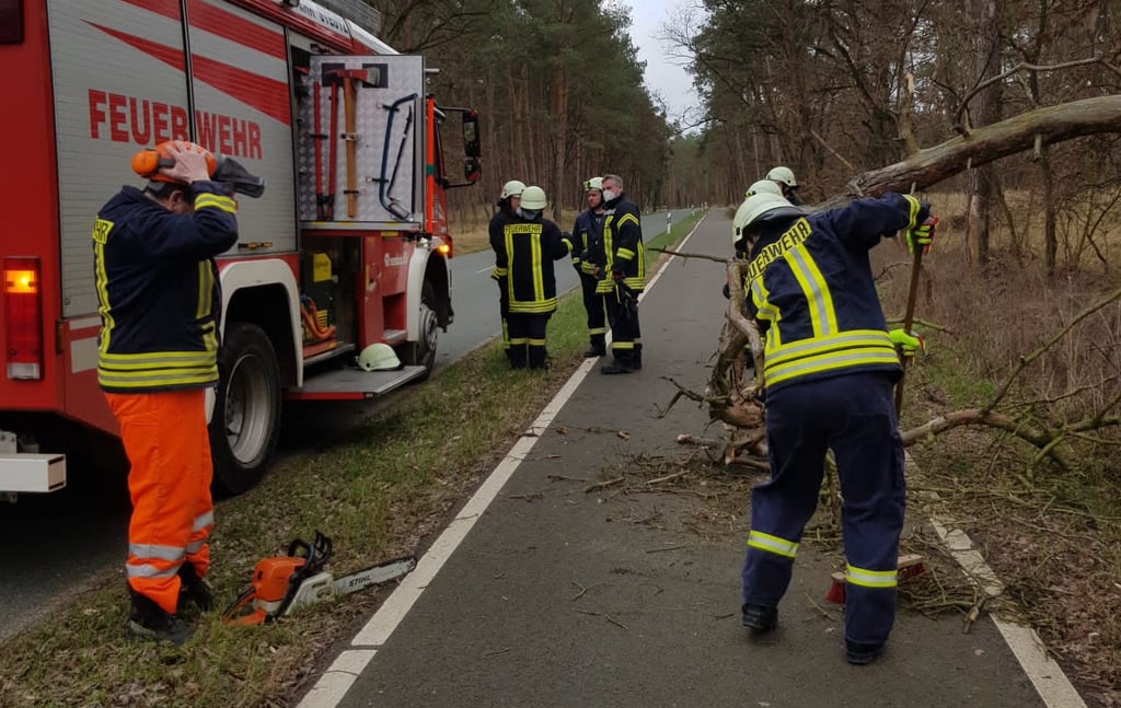 Sturmtief "Nadia" sorgte auch in und um Zerbst für Einsätze der Feuerwehr, die hier wie die Steutzer umgestürzte Bäume von Radwegen und Straßen beseitigten.