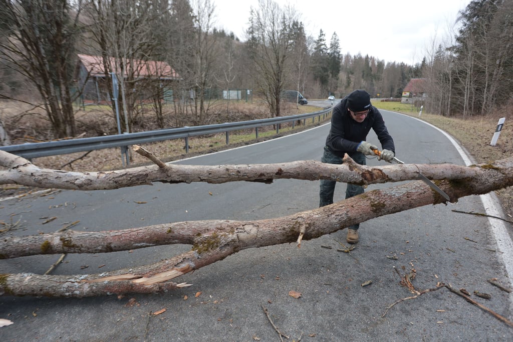 Ein Mann zersägt einen Baum, der im Sturm auf eine Straße im Harzort Tanne gefallen ist, um ihn von der Fahrbahn zu entfernen. Bei heftigen Windböen während des Sturmtiefs "Nadia" sind mehrere Bäume im Harz umgefallen.