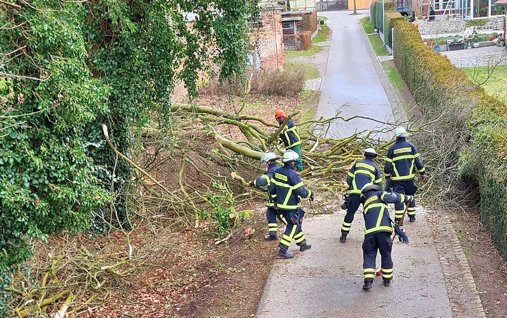 Einsatzkräfte der Osterburger Feuerwehr beseitigten am Sonntagvormittag einen Baum, der auf die Verbindungsweg zwischen Zedau und Krumke gefallen war.