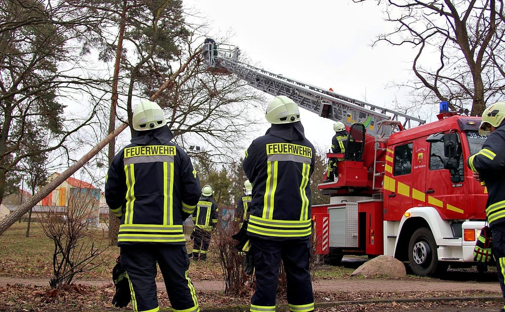 Feuerwehrleute warten am Sonntagvormittag in Möckern, dass ein Kamerad eine an der Skaterbahn umgestürzte Kiefer zu Fall bringt.