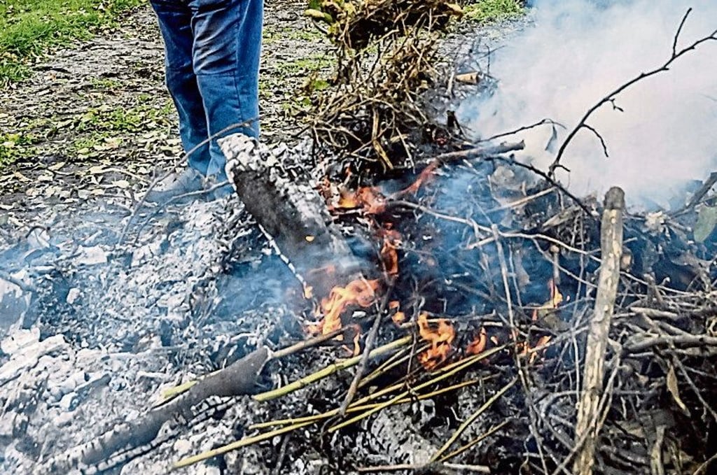 Das Verbrennen von Gartenabfällen ist Thema des Zeitzer Stadtrats am Donnerstag.