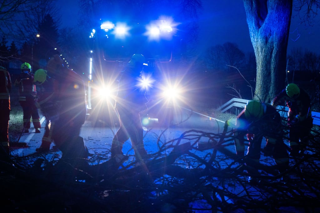 Von Samstagnacht bis Sonntagmittag mussten die Feuerwehren immer wieder wegen umgestürzter Bäume ausrücken.