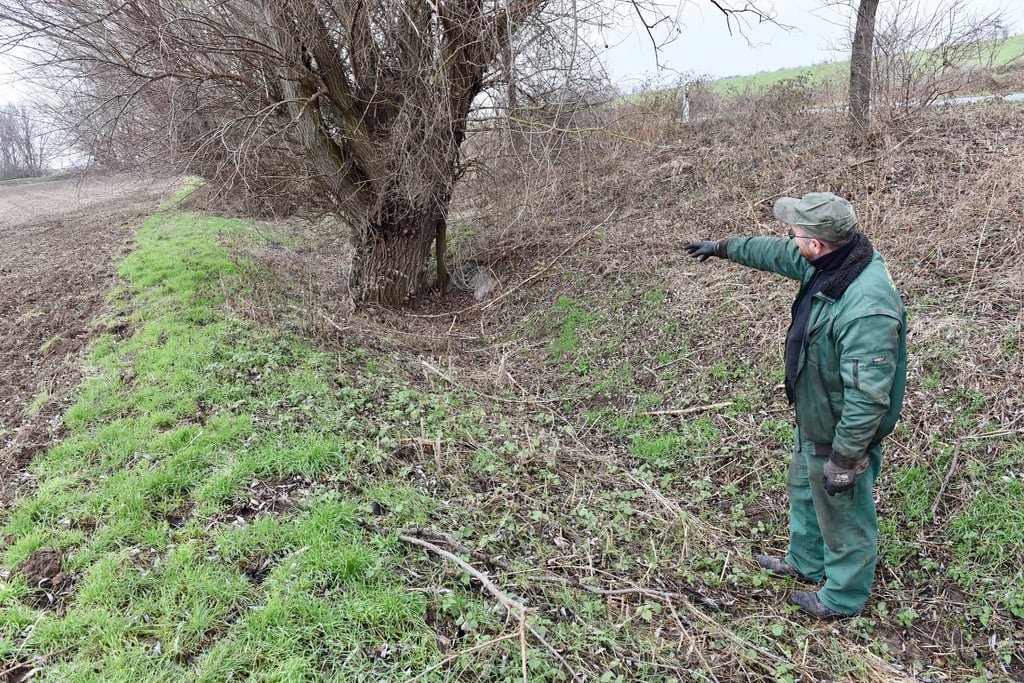 Unabhängig von den Gebührenbescheiden, die die Stadt Gerbstedt verschickt, war die Arbeit der Unterhaltungsverbände zuletzt in die Kritik geraten: So sind etwa Abwassergräben nahe Bösenburg zugewachsen.