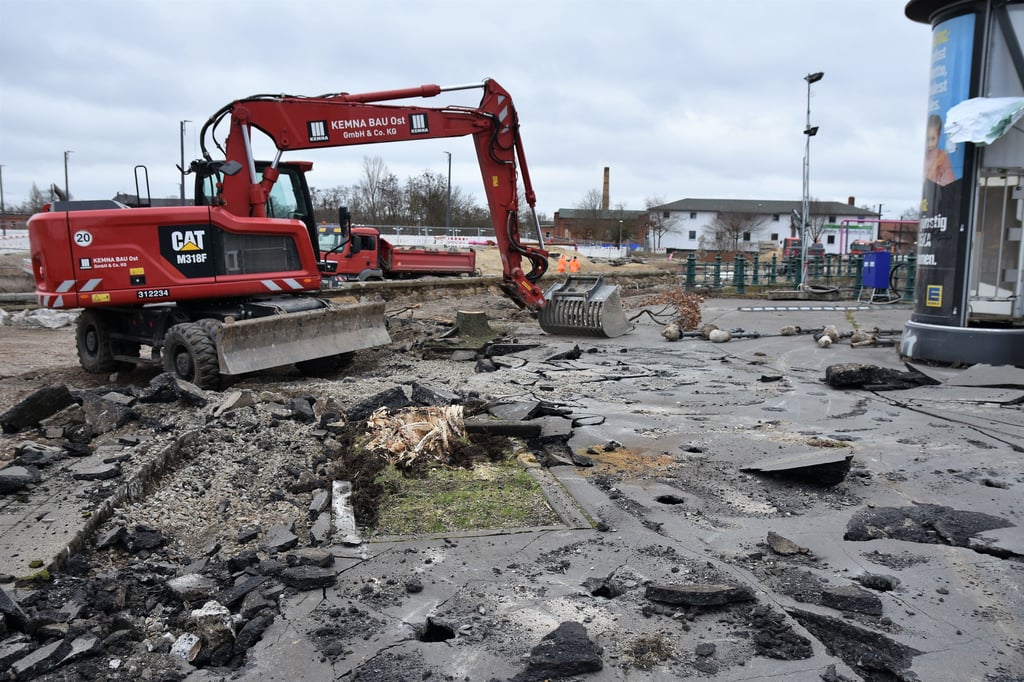 Die beiden Baumstümpfe im voll gesperrten Südteil der Turmschanzenstraße in Magdeburg sind mittlerweile ebenfalls weggebaggert.