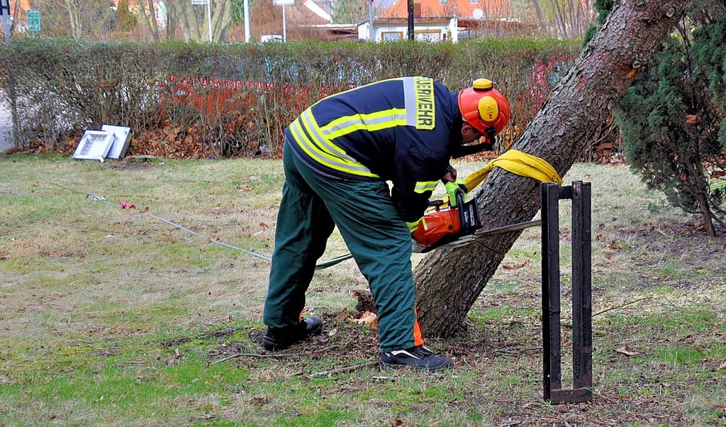 Ein alter Baum drohte in Wolfen-Nord umzufallen.