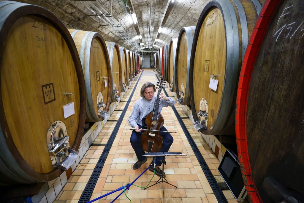 Klassik-Echo-Preisträger Thomas Fritzsch spielt auf einer Gamba Musik von Telemann im Fasskeller der Winzervereinigung Freyburg.