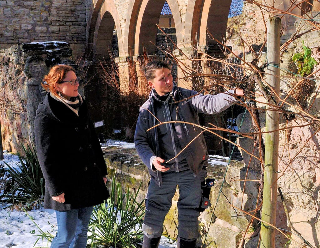 Memlebens neuer Klosterweinberg-Winzer Carl-Friedrich Walther mit Museumsleiterin Andrea Knopik.