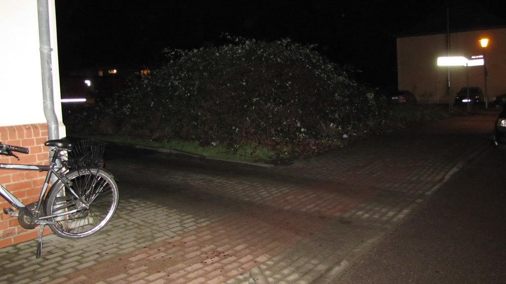 Hier ereignete sich der Unfall in