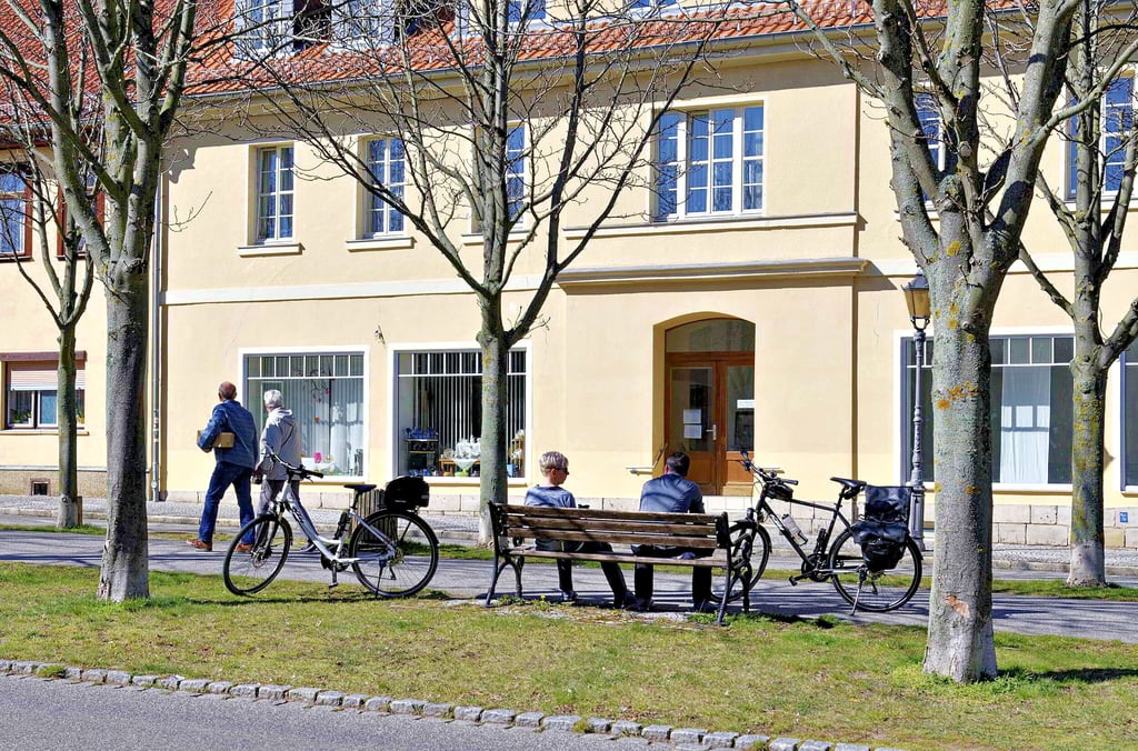 Die Wiederbelebung der Allee in Ballenstedt ist ein Ziel des „Stadtmacher“-Projektes.