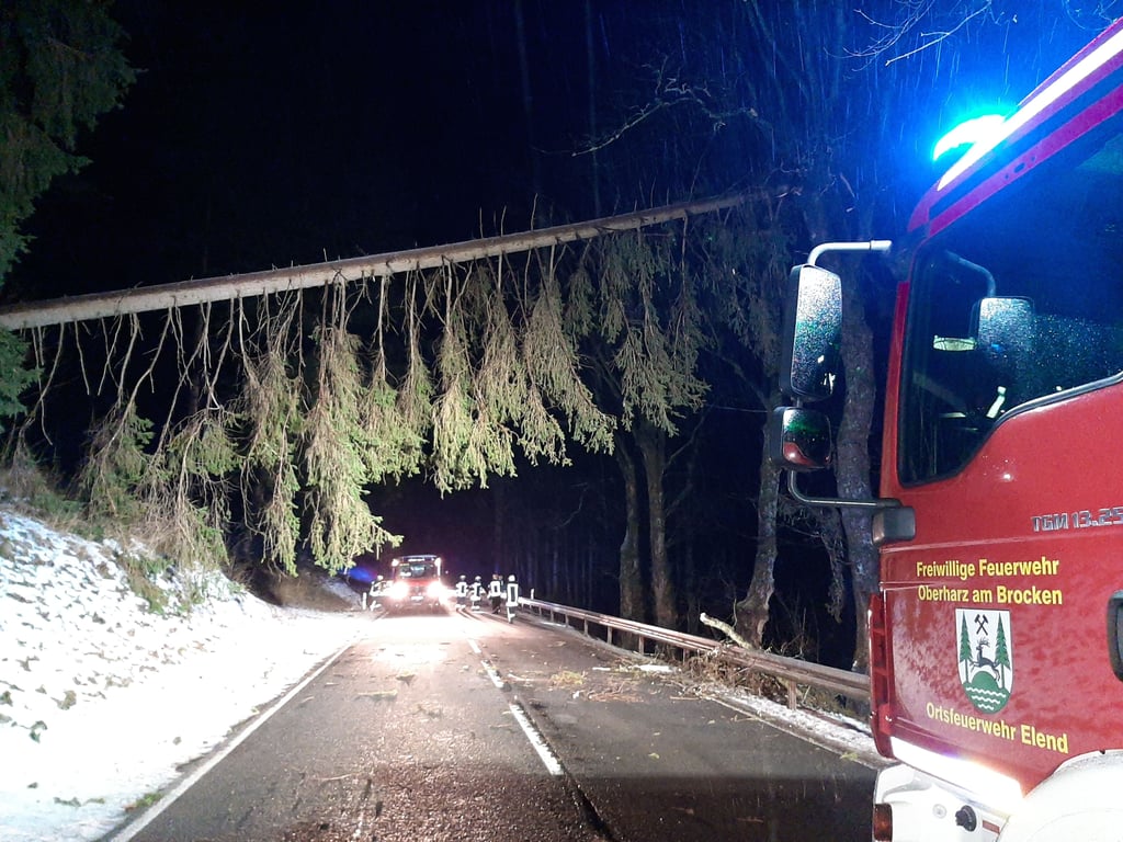 Die Freiwillige Feuerwehr Elend im Oberharz ist Mittwochmorgen (2. Februar) um 6.30 Uhr zu einem nicht alltäglichen Einsatz gerufen worden. Ein Baum war aufgrund des Sturms umgefallen und in einer Astgabel hängengeblieben.