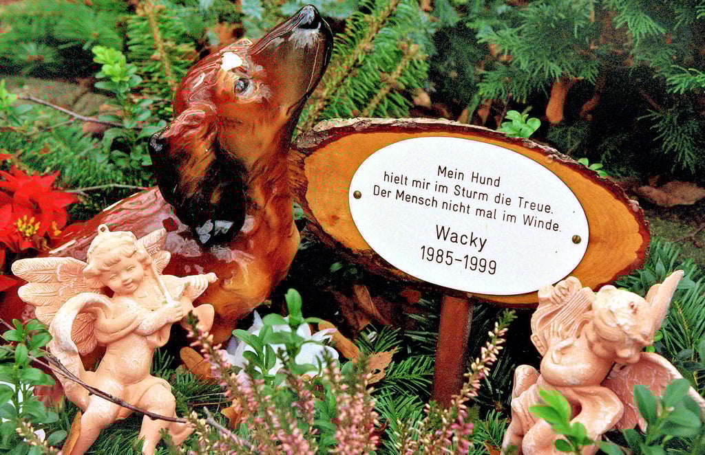 Auch nach dessen Tod halten viele Besitzer ihr Tier in Ehren und wollen ihm eine schöne letzte Ruhestätte einrichten. Der Tierfriedhof in Gardelegen wurde allerdings geschlossen. Welche Möglichkeiten gibt es nun?