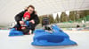 Ein Vater genießt mit seinem Sohn die Eisfläche in der Schierker Feuerstein Arena. In dem kleinen Krapprot hat die Eislauflaison begonnen. Mit Angeboten wie Eislaufschule für Anfänger und Eisdisko ist die Eisbahn ein beliebter Treffpunkt für Gäste und Besucher aus der Harzregion
