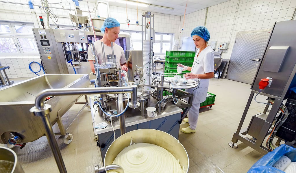 Frederick Meurer füllt mit seiner Kollegin Petra Gadavits in der Biomolkerei im Hof Pfaffendorf frischen Quark in Becher ab.