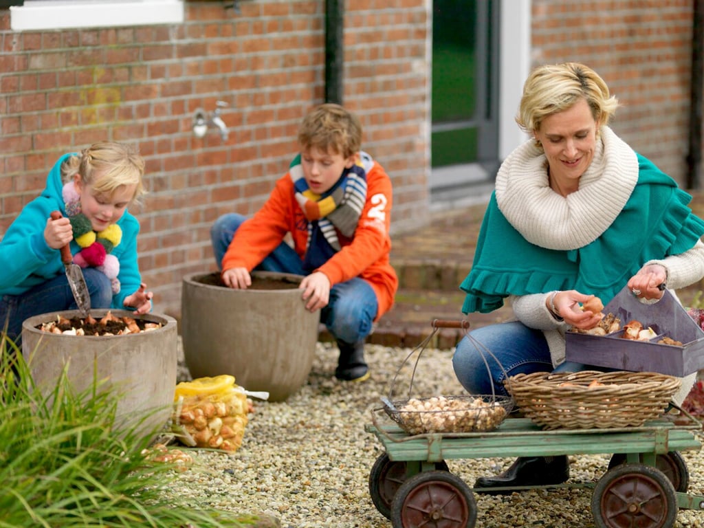 Es gibt einen Trick für das Gestalten von besonders prachtvoll wirkenden Töpfen und Schalen mit Zwiebelblumen: Die Zwiebeln kommen in mehreren Lagen in die Gefäße.