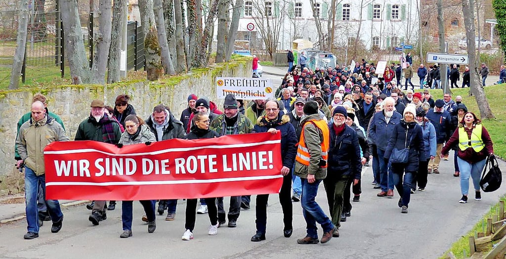 Über 250 Demonstranten zogen am Nachmittag durch Merseburg.