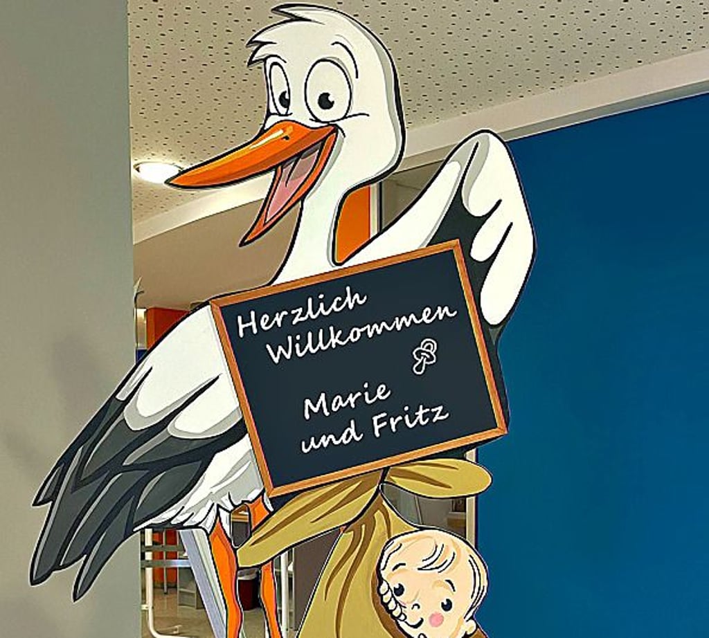 Über 450 Kinder wurden 2021 im Klinikum Aschersleben geboren.