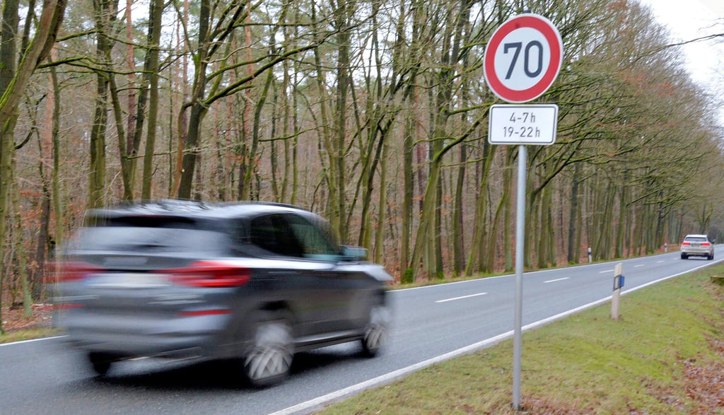 Insgesamt sechs Stunden am Tag, drei am Morgen und drei am Abend, gilt auf der Landesstraße 19 zwischen Klötze und Schwiesau ein Tempolimit von 70 Stundenkilometern. Das soll helfen, die Zahl der Wildunfälle im Abschnitt durch den Wald zu verringern. Im Blick hat das Unfallgeschehen die Arbeitsgruppe „Projekt Dreibein“.