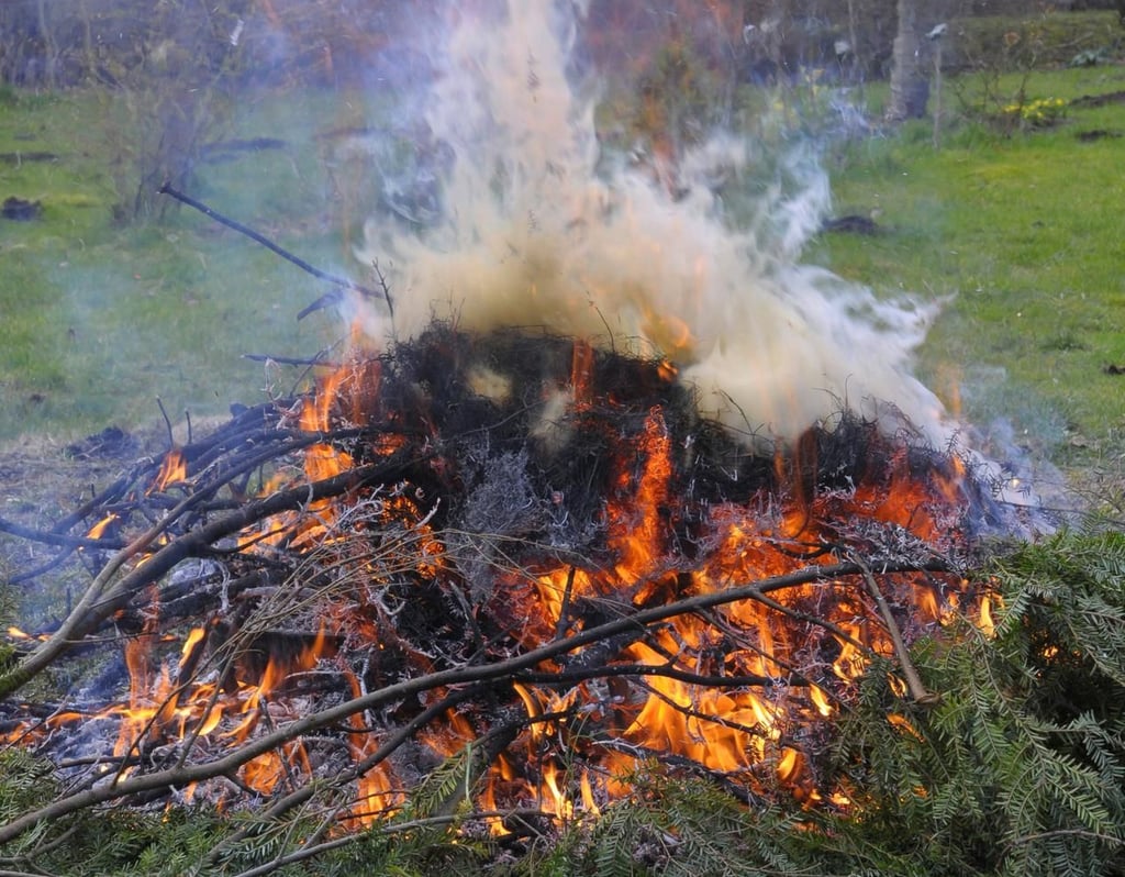 Namentliche Abstimmung Aus für das Verbrennen von Gartenabfall in Zeitz