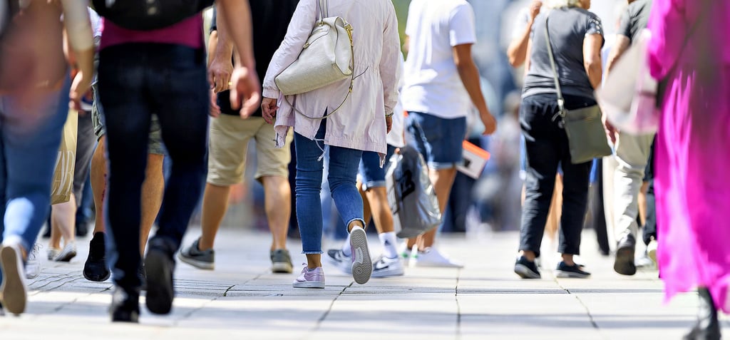 2022 wird auch in Genthin erneut durchgezählt. Dazu gibt es gesetzliche Grundlagen.