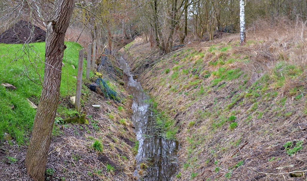 In diesem Jahr werden auch Arbeiten am Schaftalgraben in Peseckendorf ausgeführt. Dieser Graben ist ein wichtiger Zufluss für die Schlossteiche des Peseckendorfer Parks.