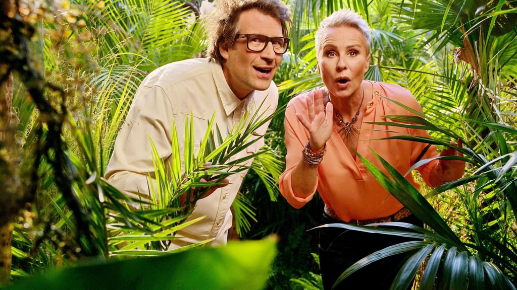 Die Moderatoren des RTL-Dschungelcamp, Daniel Hartwich und Sonja Zietlow.